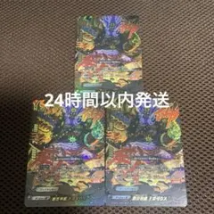 カードファイト!! ヴァンガード 神鳴りの剣神 タケミカヅチ 2枚 - メルカリ