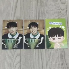 SEVENTEEN ウォヌ トレカ ケレン