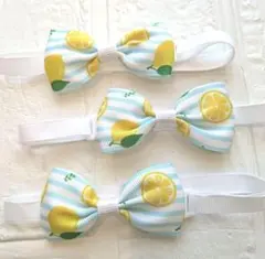 トリミングチョーカー リボン 10本 レモン 爽やか チョーカー