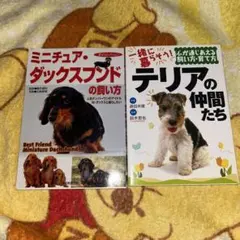 Item thumbnail for item 2b53e2a1-a776-4d23-a82f-b38d784c0018