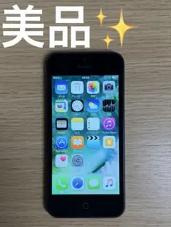 iPhone5 16GB ブラック　au S