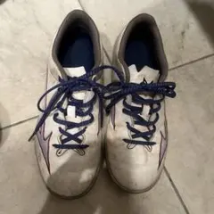 トレシュー 22センチ ミズノ