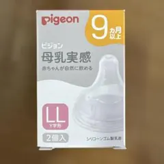 Item thumbnail for item 00cbf764-2bc8-42f0-8783-ba84ce6ddb4f