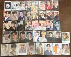 218枚 セブチ ディノ トレカ まとめ売り SEVENTEEN DINO