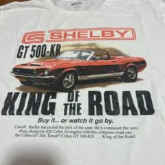 希少　OLD NAVY シェルビー マスタング GT500-KRのサムネイル