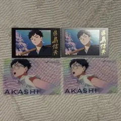 ビバレン ビバセカ シャタコレ ネイビー アカシ