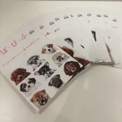 Item thumbnail for item 44251609-69a8-44c7-b5da-0aea429050b1