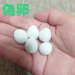 Item thumbnail for item 56857790-b75c-40fb-a678-0c0d65c49066