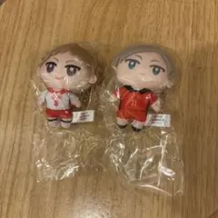 ハイキュー!! ぬいぐるみ 2体セット かぷっこふれんず 夜久衛輔 灰羽リエーフ