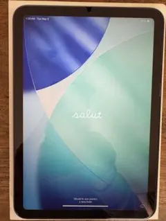 Apple iPad mini スペースグレー 128GB 本体