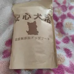 Item thumbnail for item 475de0c6-a97a-48d7-a656-f1278a1f3e76