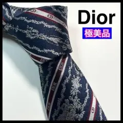 現行✨極美品✨DIOR ディオール　ネクタイ　ロゴ　 ナロータイ　高級シルク