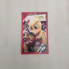 Item thumbnail for item af35e6ec-6da2-4a70-bd10-8b1b8b71ba71