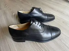 Item thumbnail for item 0174362c-bf6e-4dbd-b6a3-9053c1580b1a