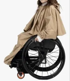 Item thumbnail for item 45e72bb9-47ba-497d-8945-2fdcd7a59f76