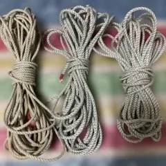 Item thumbnail for item c91be32a-11d9-48da-b3f4-35a795761bd2