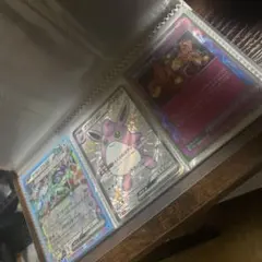 ポケモンカードコレクション