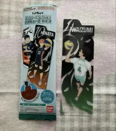 ハイキュー　ブックマークコレクション3 岩泉