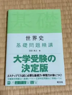 大学入試問題集 世界史基礎問題精講 新品未使用