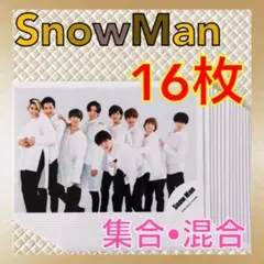【公式写真16枚セット】Snow Man　集合、混合　まとめ売り　L480a