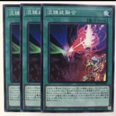 混錬装融合　パラメタルフォーゼフュージョン【テコ】