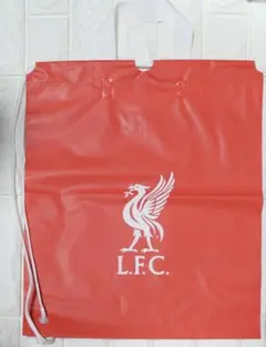 Item thumbnail for item c8700312-ff55-4aa3-9be4-f79c1907b0a9