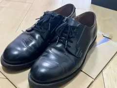 Item thumbnail for item 376b075d-68ca-4d17-82f5-351a0b43ea24