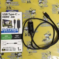 USB-C ⇔ HDMI ケーブル [映像 /1.0m /4K] ブラック
