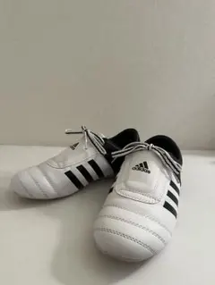 adidas テコンドーシューズ【24㎝】レディース