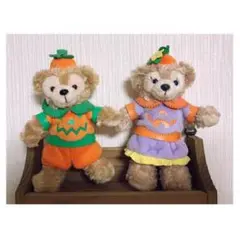 ダッフィー シェリーメイ ぬいぐるみバッジ セット