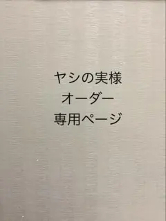 ヤシの実様 オーダー専用ページ