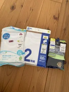 Item thumbnail for item e6a075a5-8ef5-4f16-add3-f2329fcd16a5