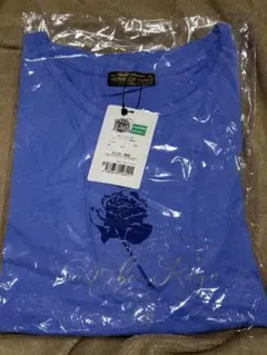 Item thumbnail for item 3c862cee-a669-46d9-94e9-9c4d9a7d1923