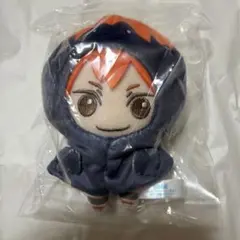 ハイキュー セガラッキーくじ ラストラッキー賞 マスコット 日向翔陽 ヒナガラス