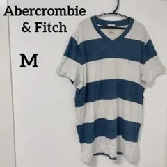 Abercrombie & Fitch【M】ストライプ VネックTシャツ 春夏