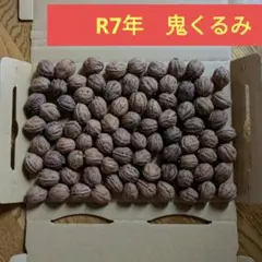 Item thumbnail for item 0ea3316c-675a-4a47-9dca-42f2e077b271