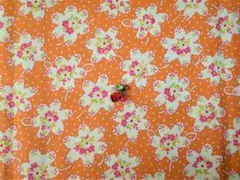 Item thumbnail for item 2cd27ff6-9164-4f80-885d-1ab86499d86f