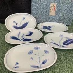 【有田焼】泉窯 染付山野草絵変わり 楕円形 中皿 5枚セット