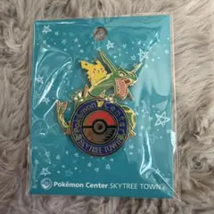 2026年最新】ポケモンセンターロゴピンズの人気アイテム - メルカリ