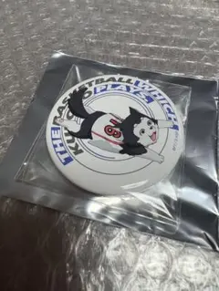 黒子のバスケ DVDカバーシリーズ　缶バッジ　テツヤ2号