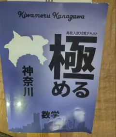 Item thumbnail for item a51272c8-b2ea-4c96-a555-f3d75370c312