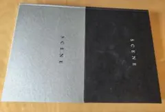 上下巻セット　桜桃書房　SCENE　屍体写真集　死体　釣崎清隆 2026年最新】屍体写真集 sceneの人気アイテム - メルカリ