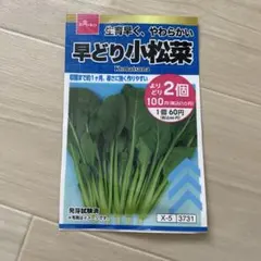 DAISO 早どり小松菜 種 栽培用のサムネイル
