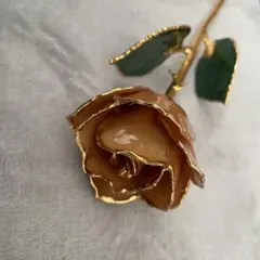 24K 本物のバラをコーティング