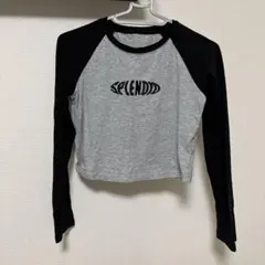 Dazy Mサイズ クロップドTシャツ グレー/ブラック