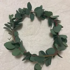 ユーカリ　ドライ　リース　ハンドメイド
