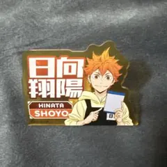 ハイキュー　日向翔陽 ピンバッジ アクリル