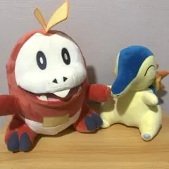 ほのおタイプポケモン ぬいぐるみ 2点セット ホゲータ ヒノアラシ 新品 大きめ