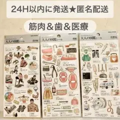 【正規品】大人の図鑑シール　3枚セット　筋肉＆歯＆医療　ボンボンドロップシール