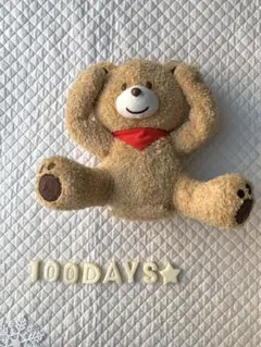 100DAYS☆ 赤ちゃん 百日祝い 記念 写真用 レターバナー